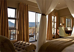 Executive Suite Executive Suite
